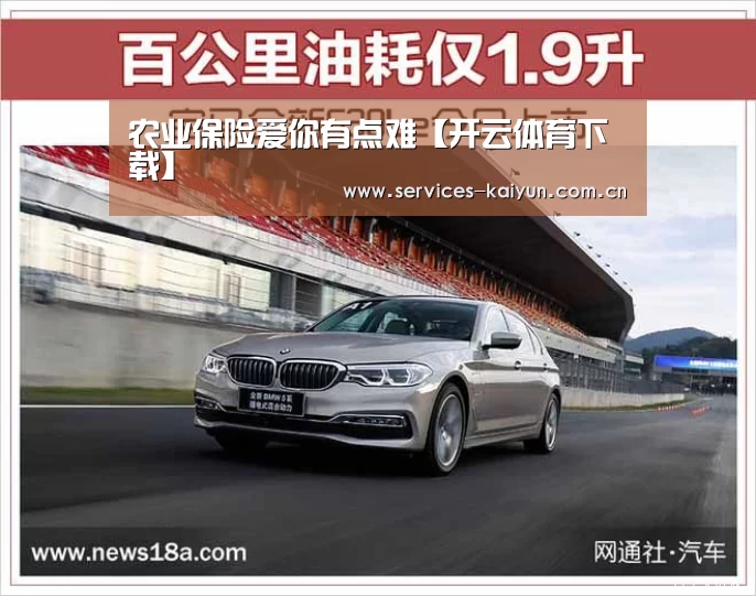 农业保险爱你有点难【开云体育下载】(图1) 开云APP